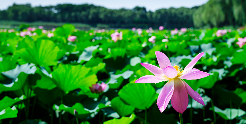 尊龙凯时人生就是搏·(中国区)官方网站